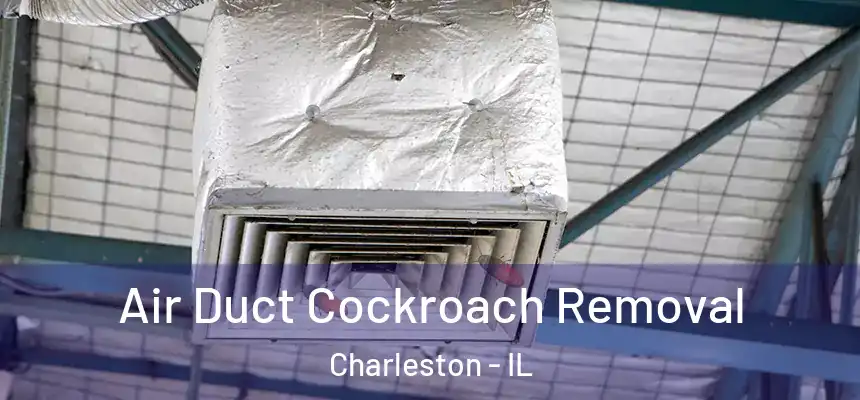 Air Duct Cockroach Removal Charleston - IL