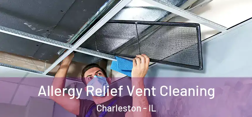 Allergy Relief Vent Cleaning Charleston - IL