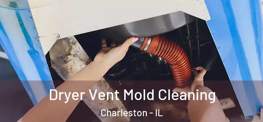 Dryer Vent Mold Cleaning Charleston - IL
