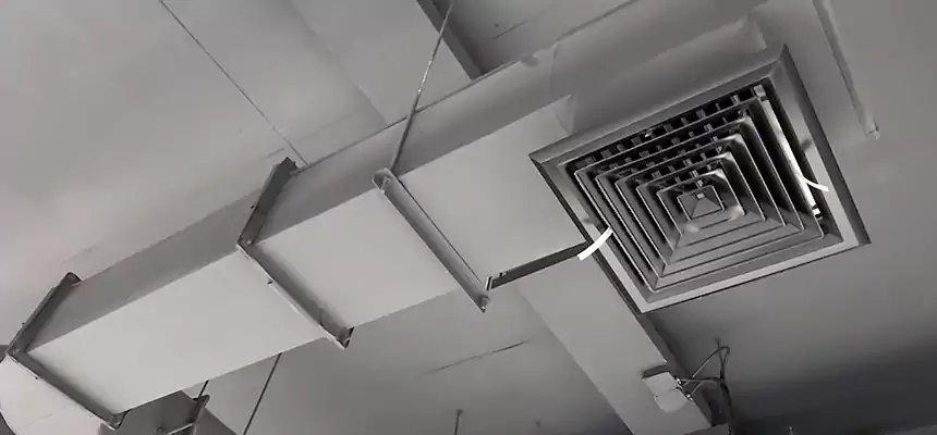 Our Pest Removal From Ducts Services in Charleston, IL