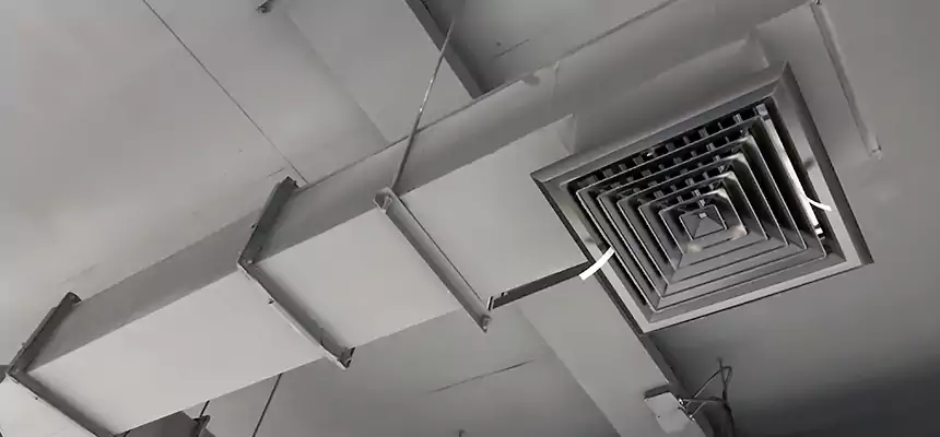 Our Rodent Droppings In Vents Services in Charleston, IL