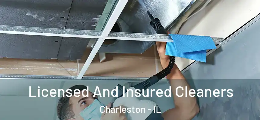  Licensed And Insured Cleaners Charleston - IL