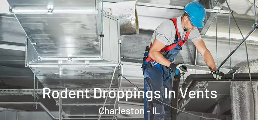  Rodent Droppings In Vents Charleston - IL