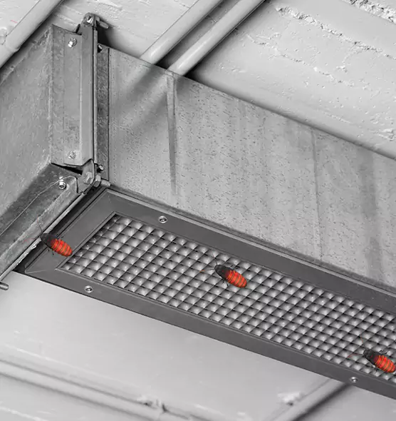 About Air Duct Cockroach Removal in Charleston, IL