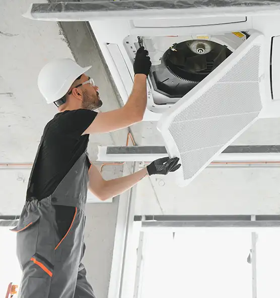 About Air Duct Rodent Removal in Charleston, IL