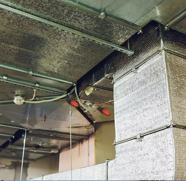 Why Homeowners & Businesses Trust Us in Charleston, IL?