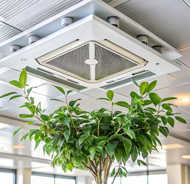 Why Homeowners & Businesses Trust Us in Charleston, IL?